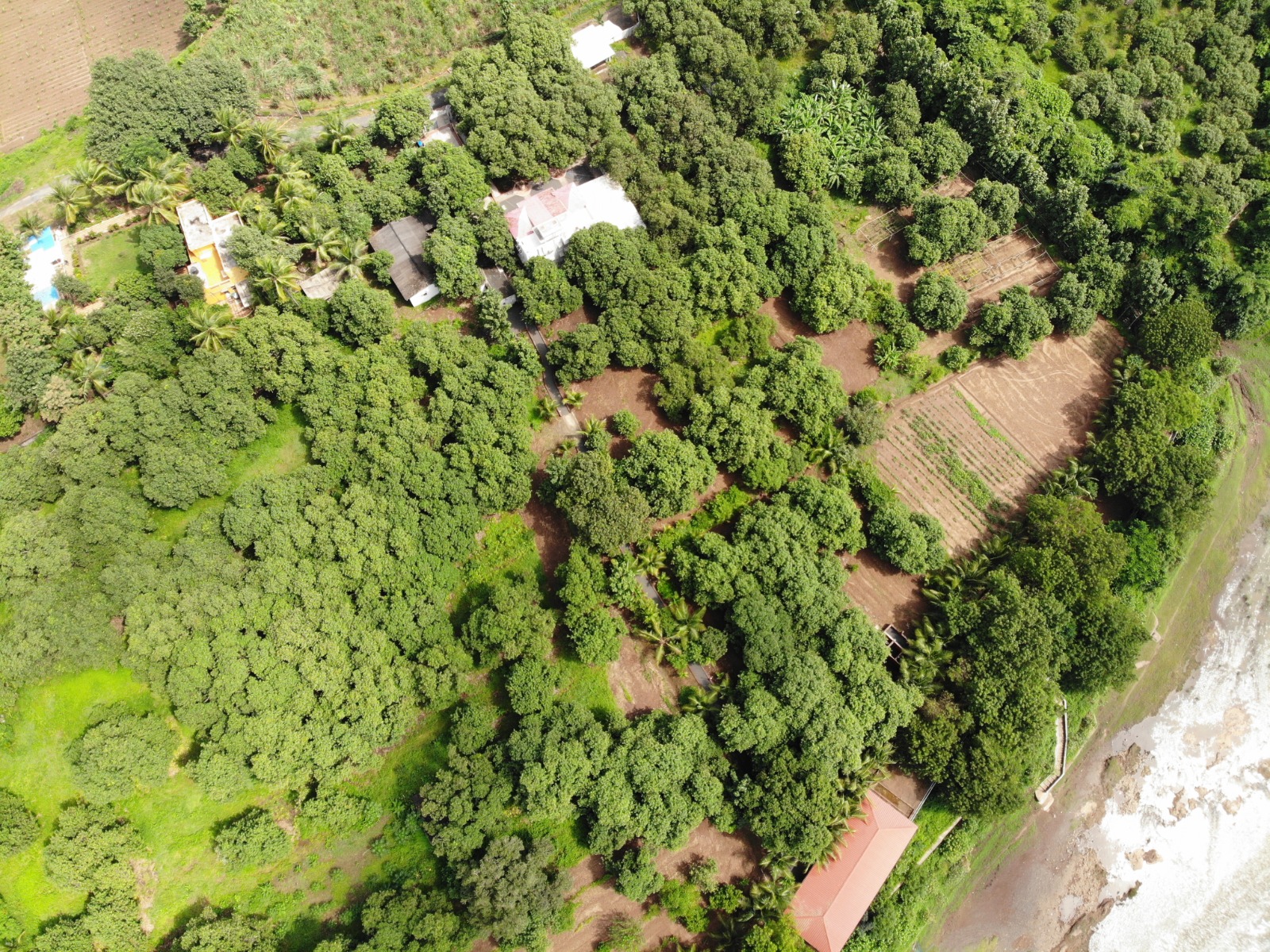 Nova Farm Bardoli
