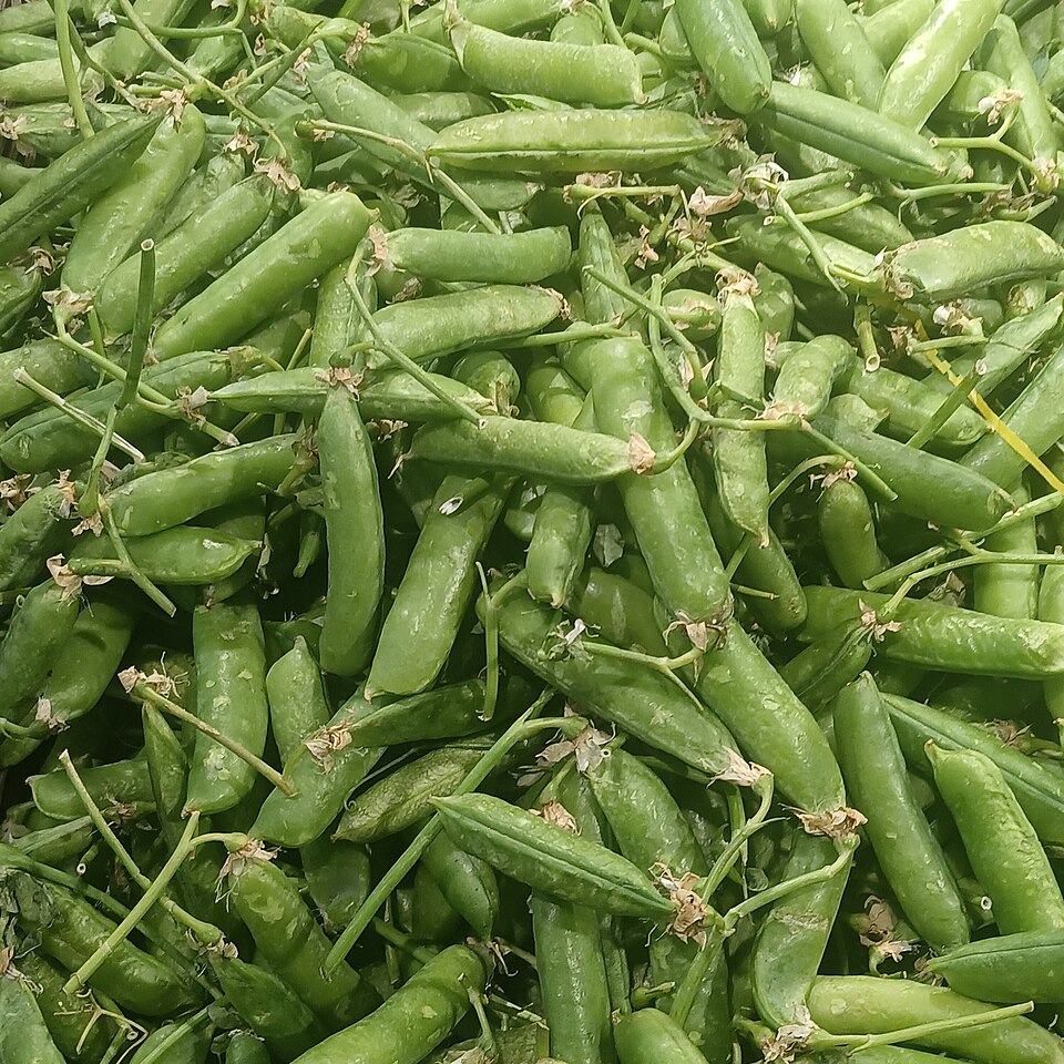 Vegetables